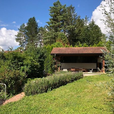 Maison/Gîte familial dans le Jura à 200m du lac avec piscine privée Marigny  Esterno foto