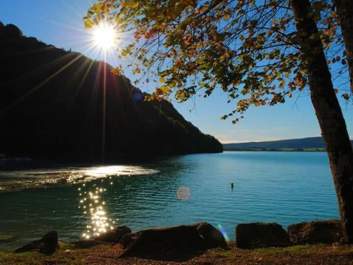 Maison/Gîte familial dans le Jura à 200m du lac avec piscine privée Marigny  Esterno foto