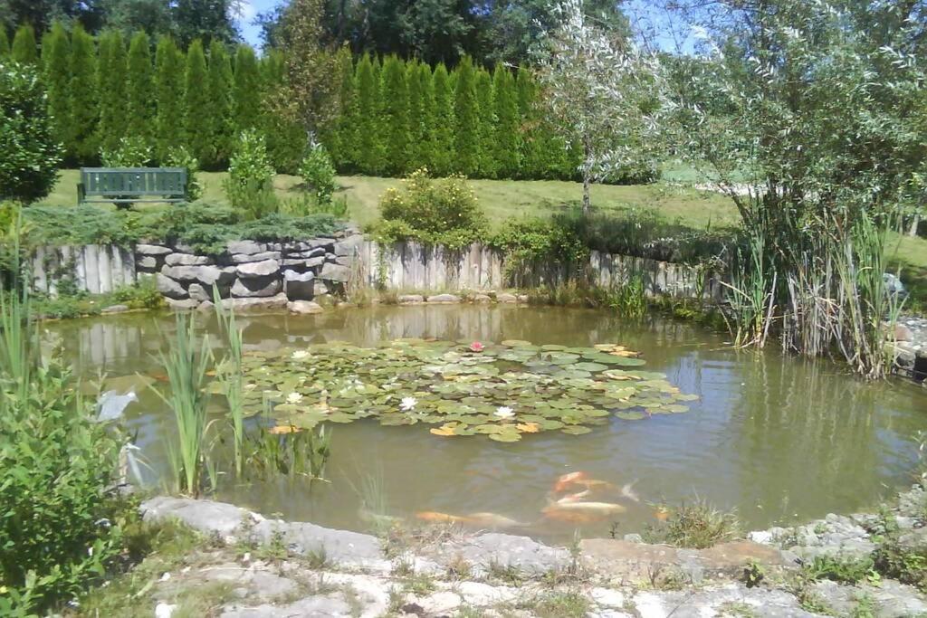 Maison/Gîte familial dans le Jura à 200m du lac avec piscine privée Marigny  Esterno foto