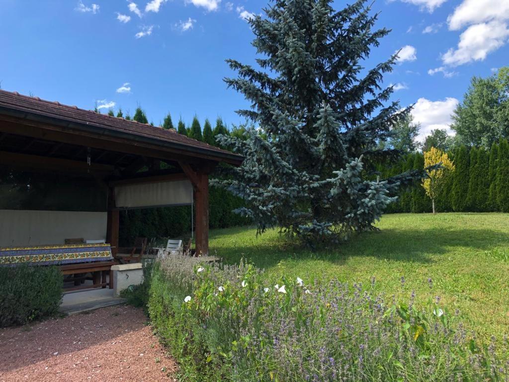 Maison/Gîte familial dans le Jura à 200m du lac avec piscine privée Marigny  Esterno foto