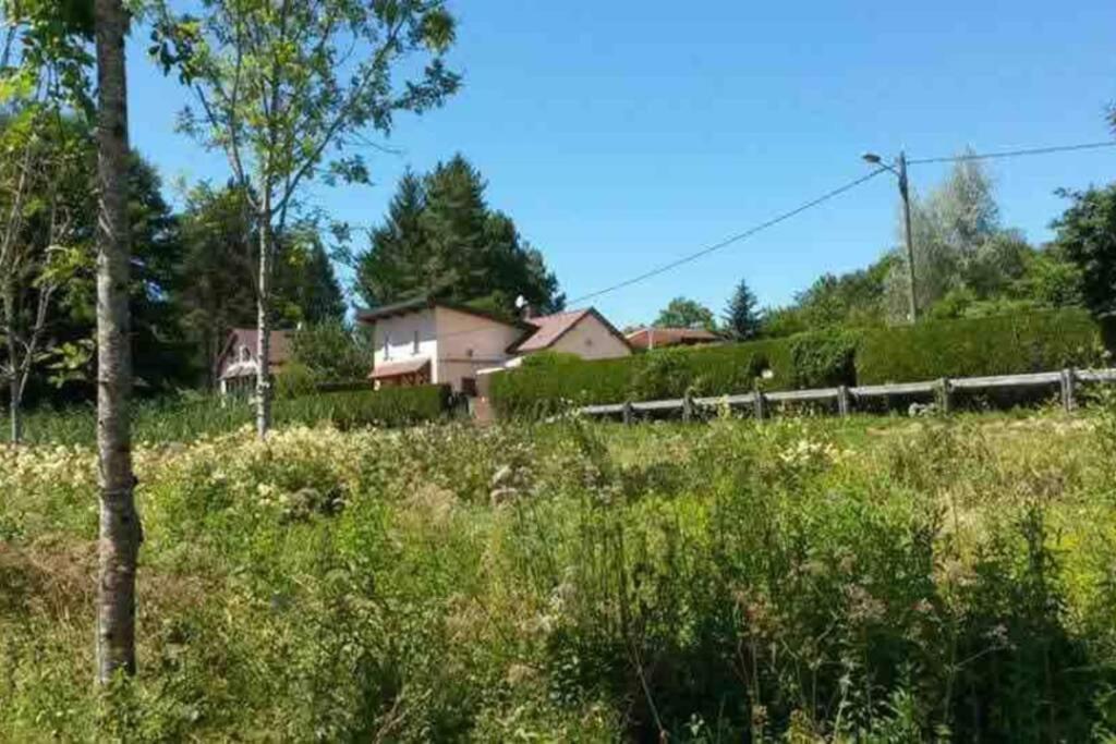 Maison/Gîte familial dans le Jura à 200m du lac avec piscine privée Marigny  Esterno foto