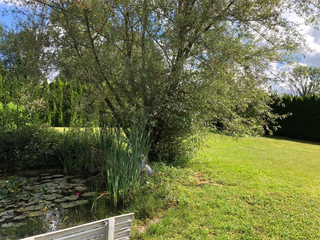 Maison/Gîte familial dans le Jura à 200m du lac avec piscine privée Marigny  Esterno foto
