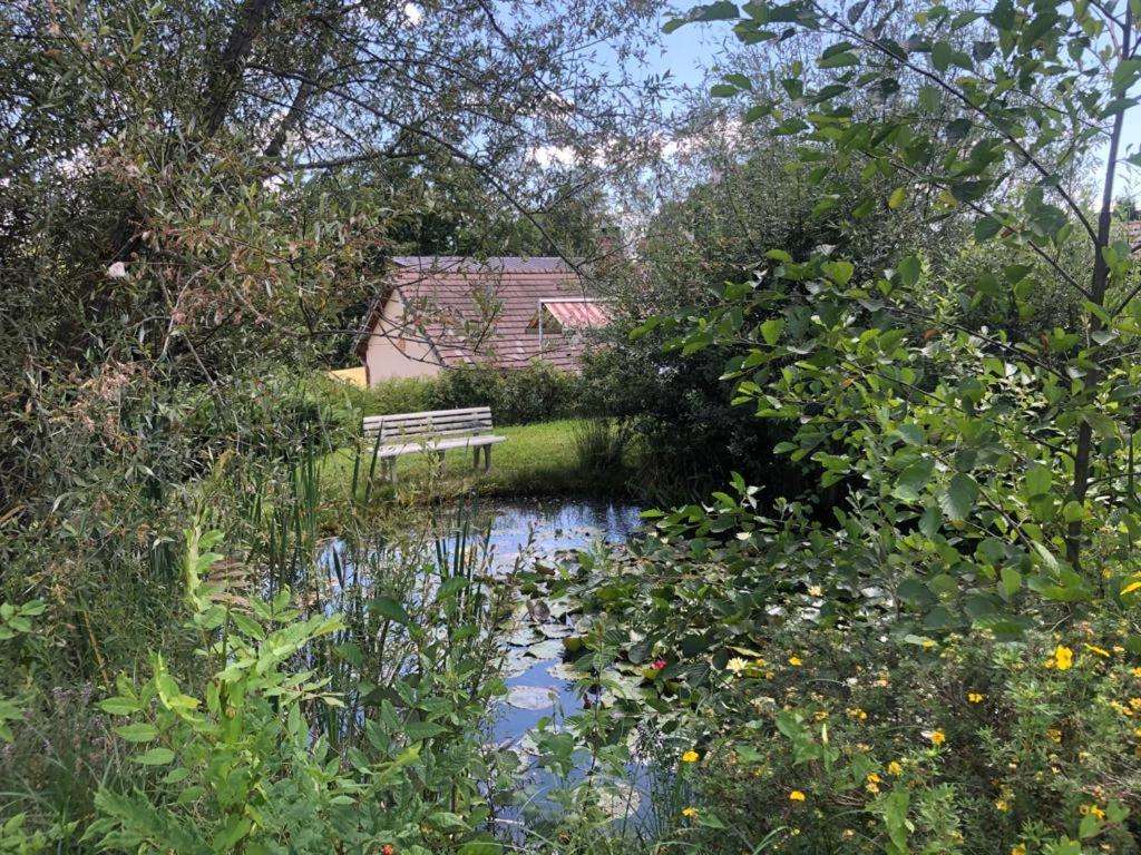Maison/Gîte familial dans le Jura à 200m du lac avec piscine privée Marigny  Esterno foto